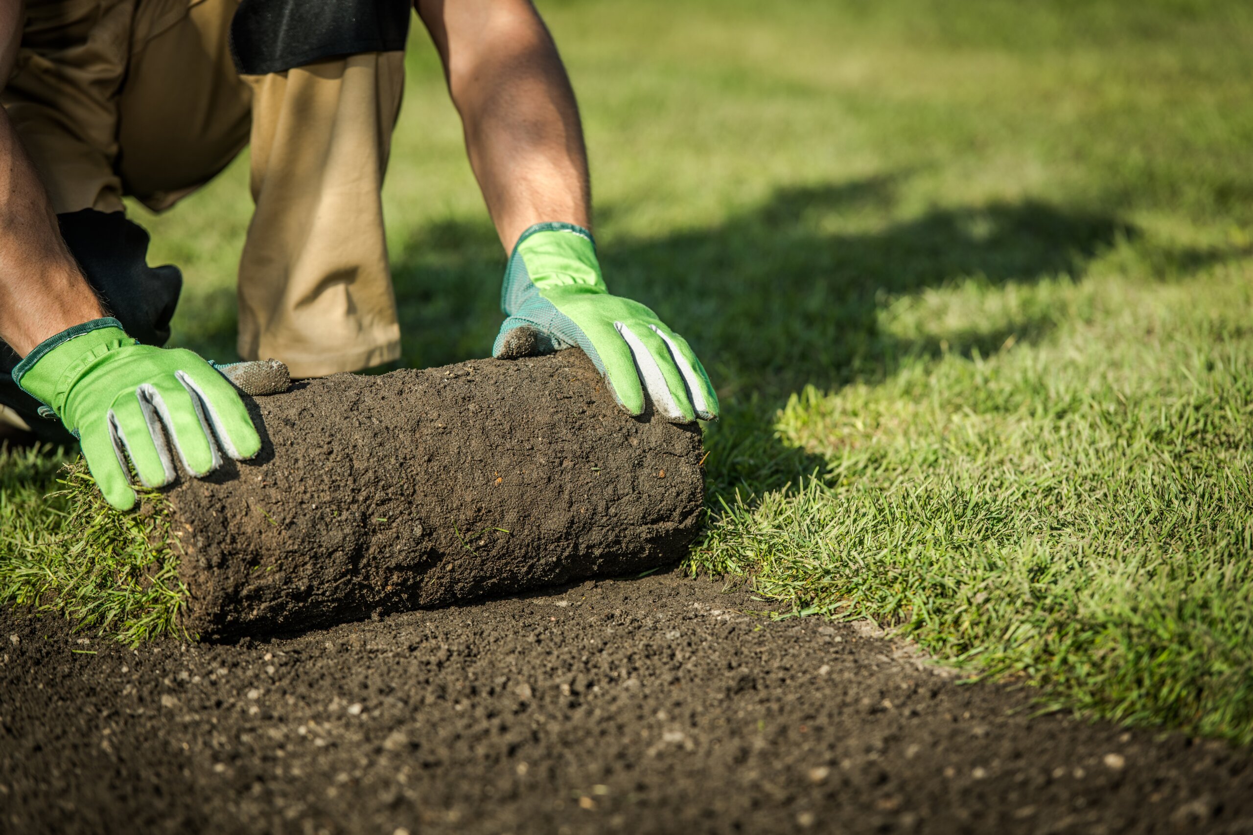 Installing New Fresh Grass